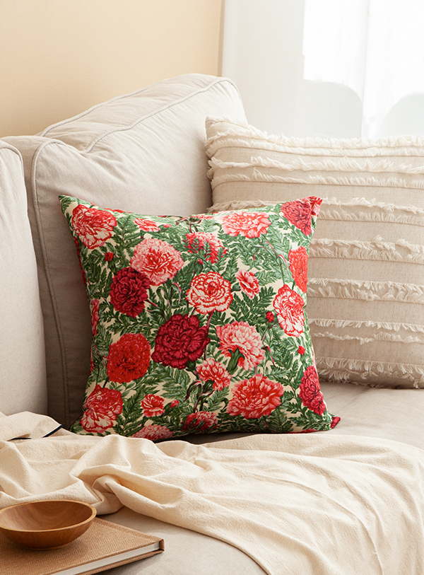 ��ǰ�̹���