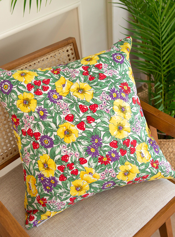 ��ǰ�̹���