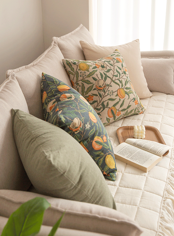 ��ǰ�̹���