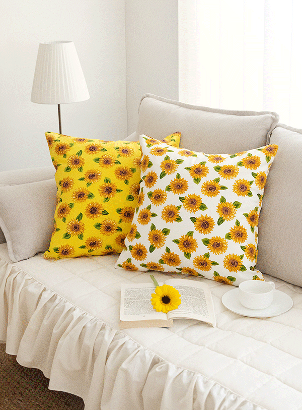 ��ǰ �̹���