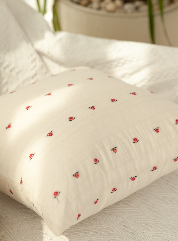 ��ǰ�̹���